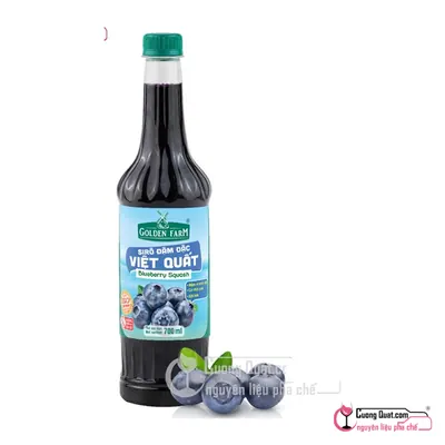 Siro GDF Việt Quất Đậm Đặc 700ml, Chai 700ml, thùng 12