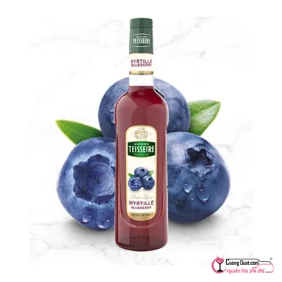 Teisseire Siro Việt Quất 700ml, Chai 700ml, thùng 6